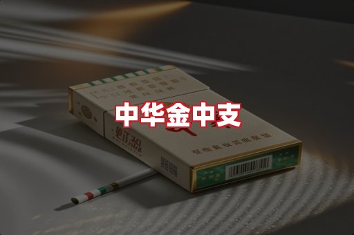 中华金中支